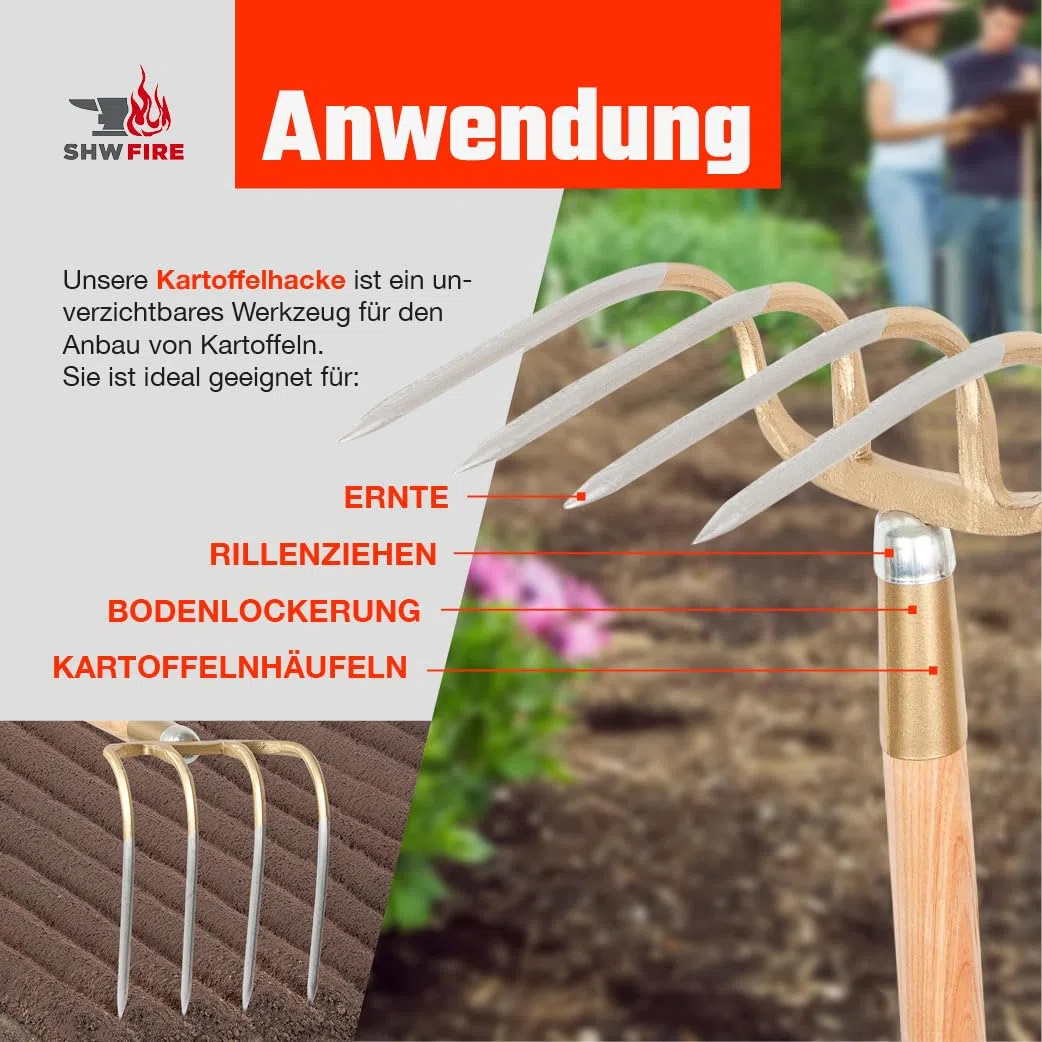 SHW-FIRE | Kartoffelhacke 4 Zinken Schmiedung, 135 cm ergonomischer Eschenholzstiel, robust & langlebig, ideal für Bodenbearbeitung, Kartoffelernte & Heuaufnehmen | Made in Germany