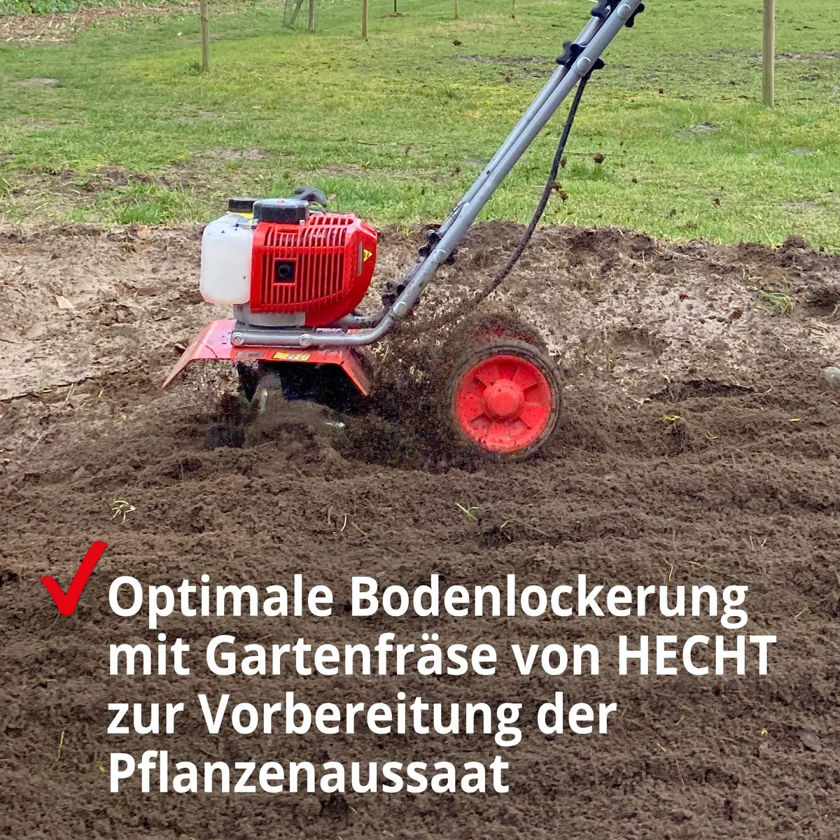 HECHT Benzin Gartenhacke Effektive Bodenbearbeitung mit 25 cm Arbeitsbreite – 2-Takt Motor – 16 Harte Messer – Motorhacke – Bodenfräse – Bodenhacke – Kultivator – zum Garten umgraben und lockern