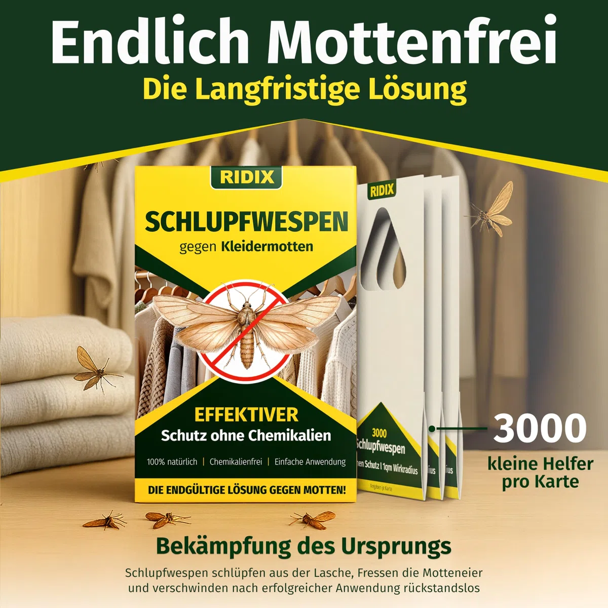 Schlupfwespen gegen Kleidermotten [5 Lieferungen mit je 5 Karten = 25 Karten] - Schlupfwespen gegen Motten als biologische Lösung frei von Chemie - Schlupfwespen Kleidermotten