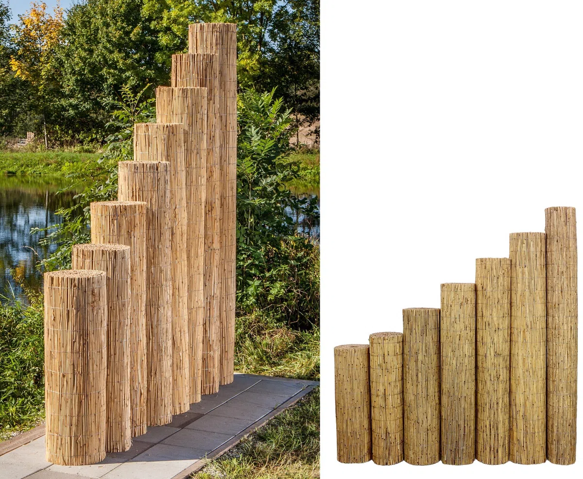 bambus-discount.com Schilfrohrmatten Premium Beach, 200 hoch x 600cm breit, EIN Produkt Sichtschutz Matten Windschutzmatten …