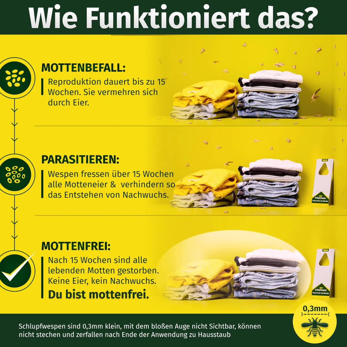 Schlupfwespen gegen Kleidermotten [5 Lieferungen mit je 5 Karten = 25 Karten] - Schlupfwespen gegen Motten als biologische Lösung frei von Chemie - Schlupfwespen Kleidermotten