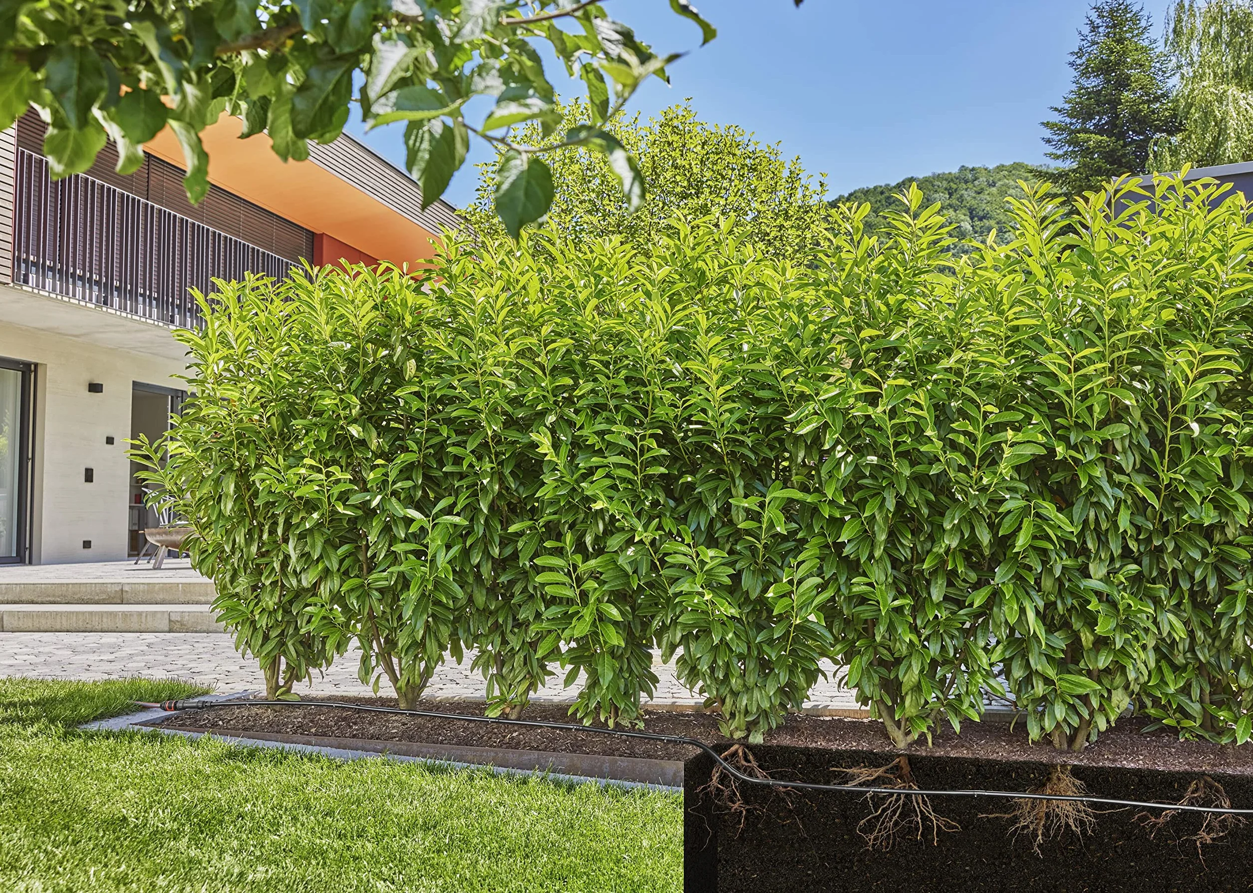 Gardena ober- und unterirdisches Tropfrohr: zur Verwendung für Büsche und Hecken, 50 m Länge, passend für Micro-Drip-System (13504-20)