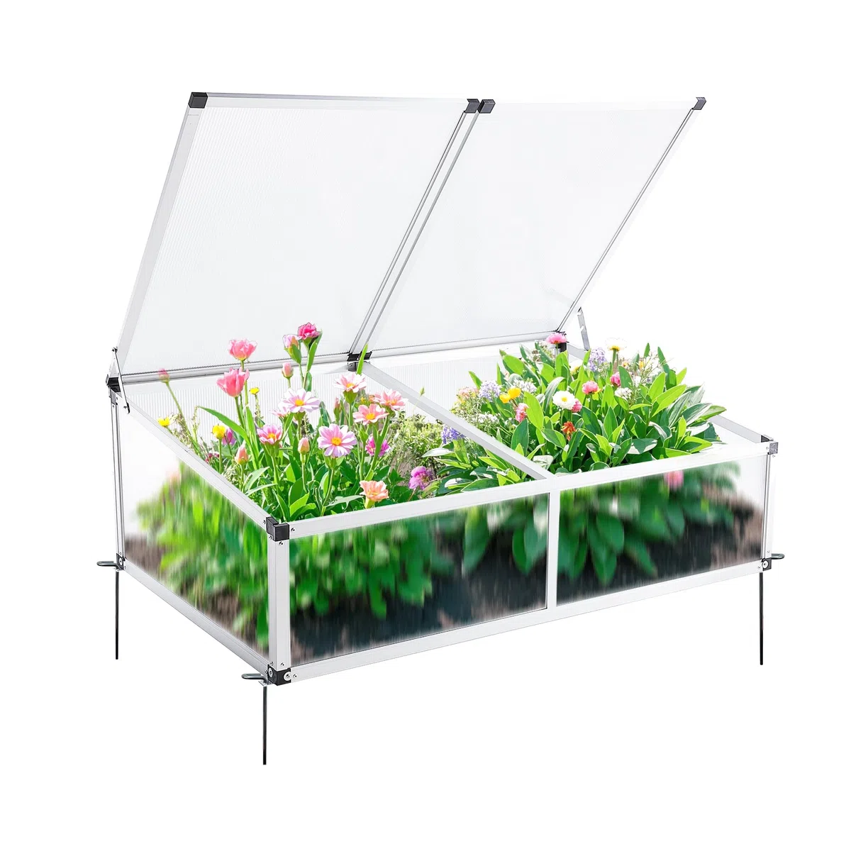 Alu Frühbeet lichtdurchlässig Frühbeetkasten Mini Gewächshaus Treibhaus UV Schutz Pflanzbeet 118x77x40 cm Doppeldach Silbern
