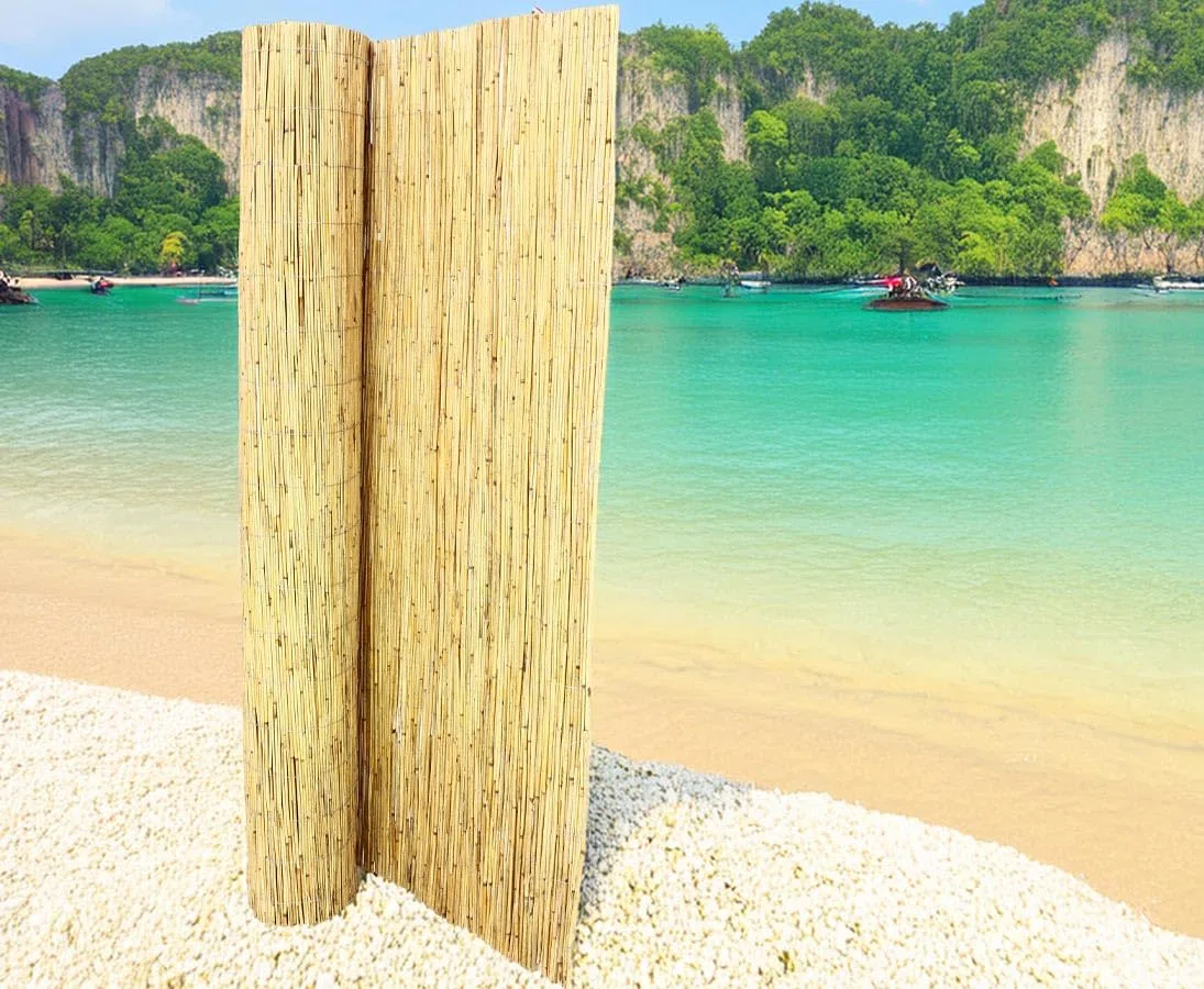 bambus-discount.com Schilfrohrmatten Premium Beach, 200 hoch x 600cm breit, EIN Produkt Sichtschutz Matten Windschutzmatten …