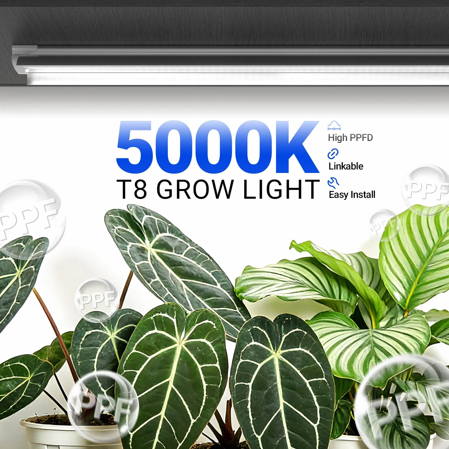 Barrina T8 Grow Lampe, 96W (4 X 24W), Vollspektrum, 60cm Led Wachsen Licht, V-Shape Pflanzenlicht, 5000K, 2FT Pflanzenlampe FüR Zimmerpflanzen, Hohe PPFD, 4er