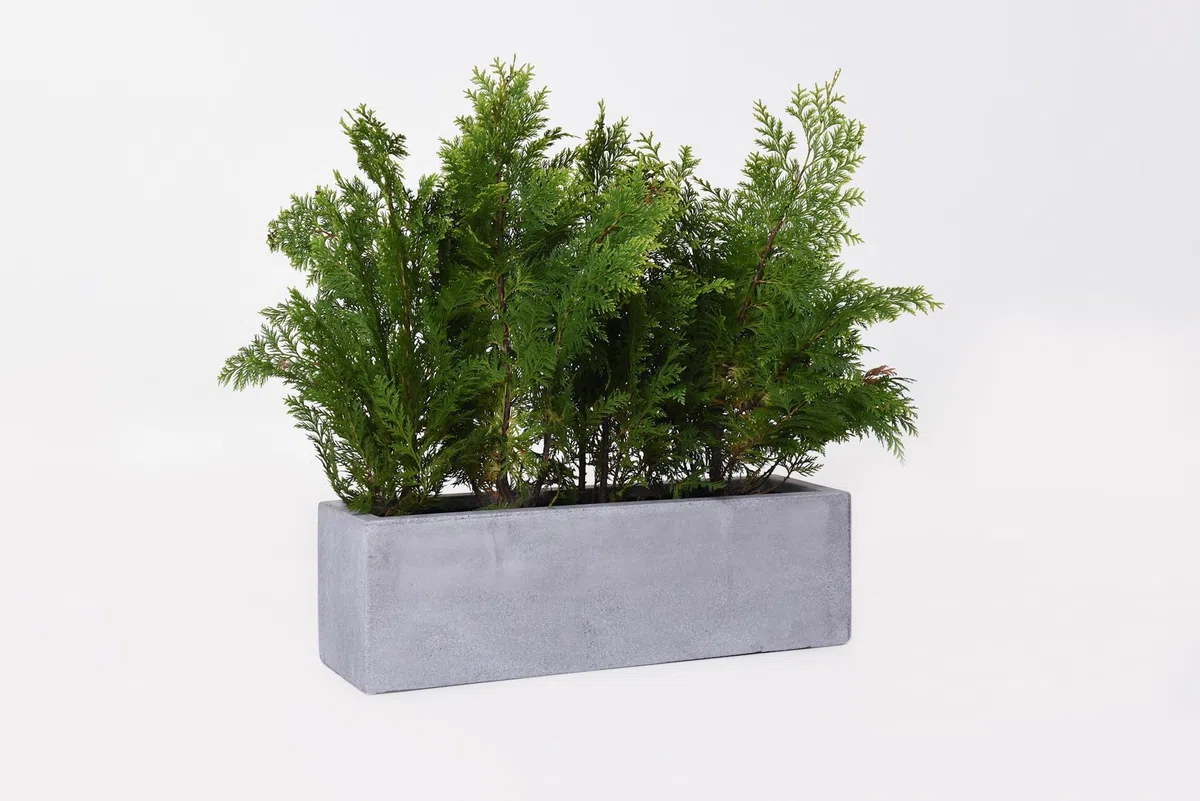 VIVANNO Blumenkasten Balkonkasten Pflanzkasten Fiberglas FLOBO Beton-Optik grau - 15x60x17 cm