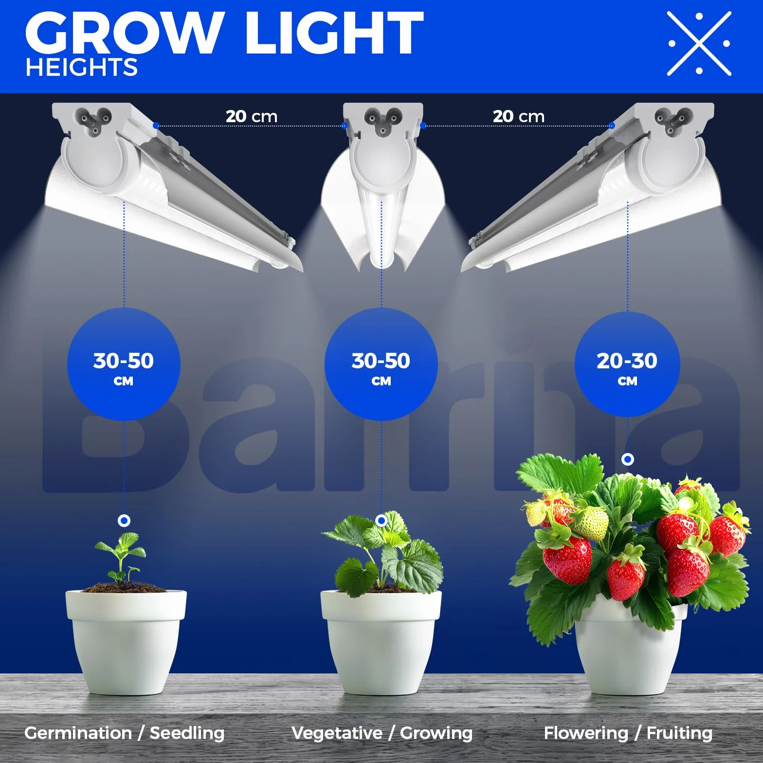 Barrina T8 Grow Lampe, 96W (4 X 24W), Vollspektrum, 60cm Led Wachsen Licht, V-Shape Pflanzenlicht, 5000K, 2FT Pflanzenlampe FüR Zimmerpflanzen, Hohe PPFD, 4er