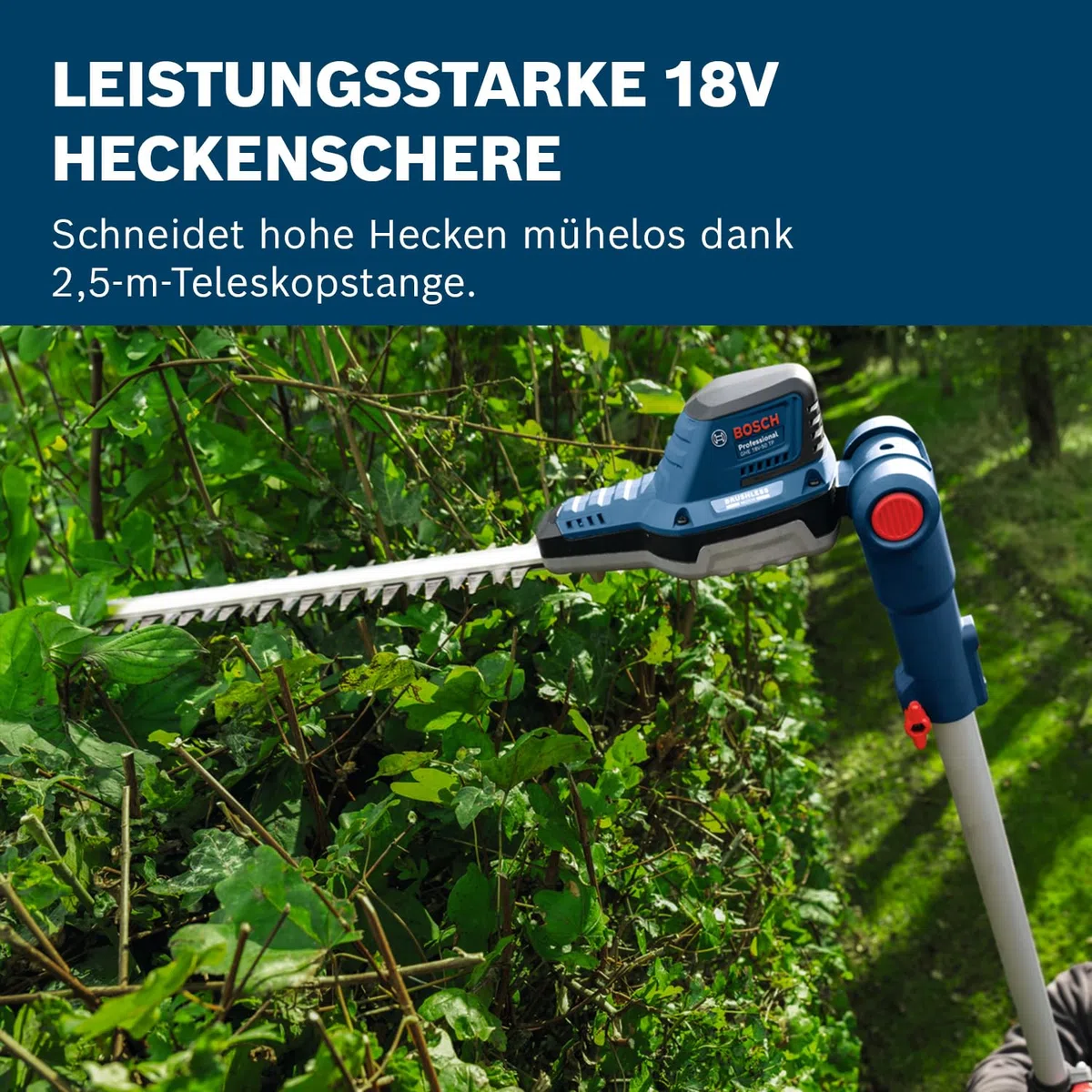 Bosch Professional 18V System Teleskop-Heckenschere GHE 18V-50 TP (2,5-m-Teleskopstange, 3.400 Hübe pro Minute, 23,5 mm Zahnabstand, inkl. Schultergurt, ohne Akku)