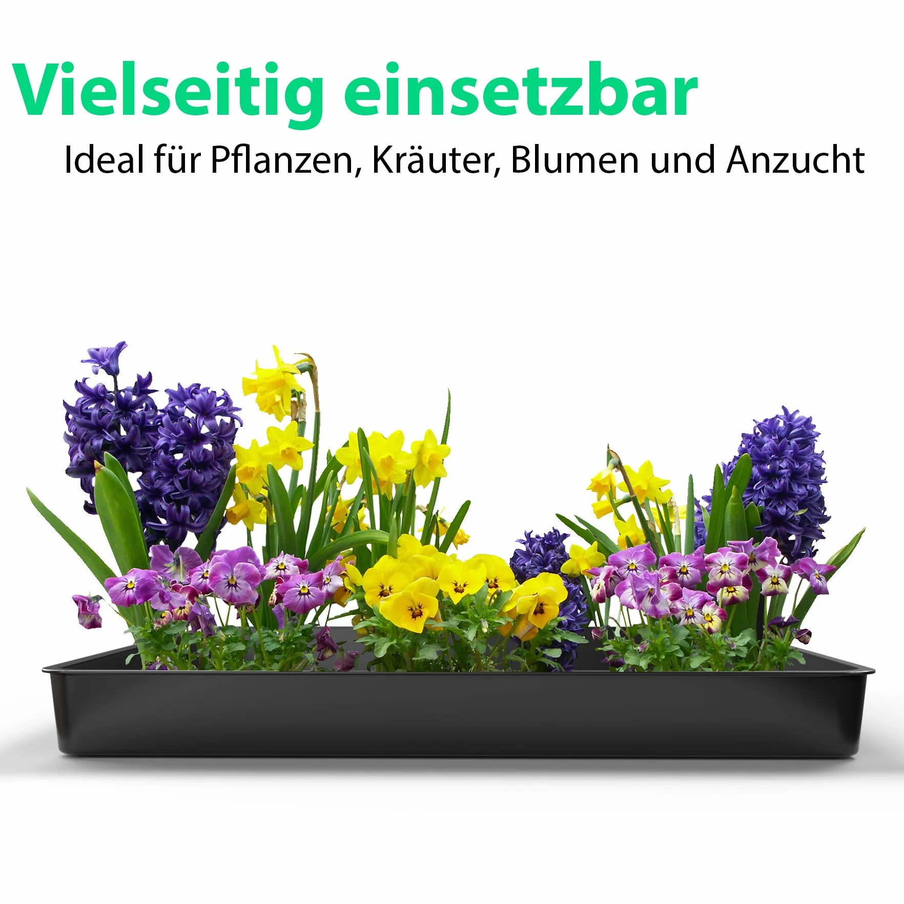 BigDean Pflanzschale groß 60x60x7cm ideal für anzüchten, Pflanzen & mehr