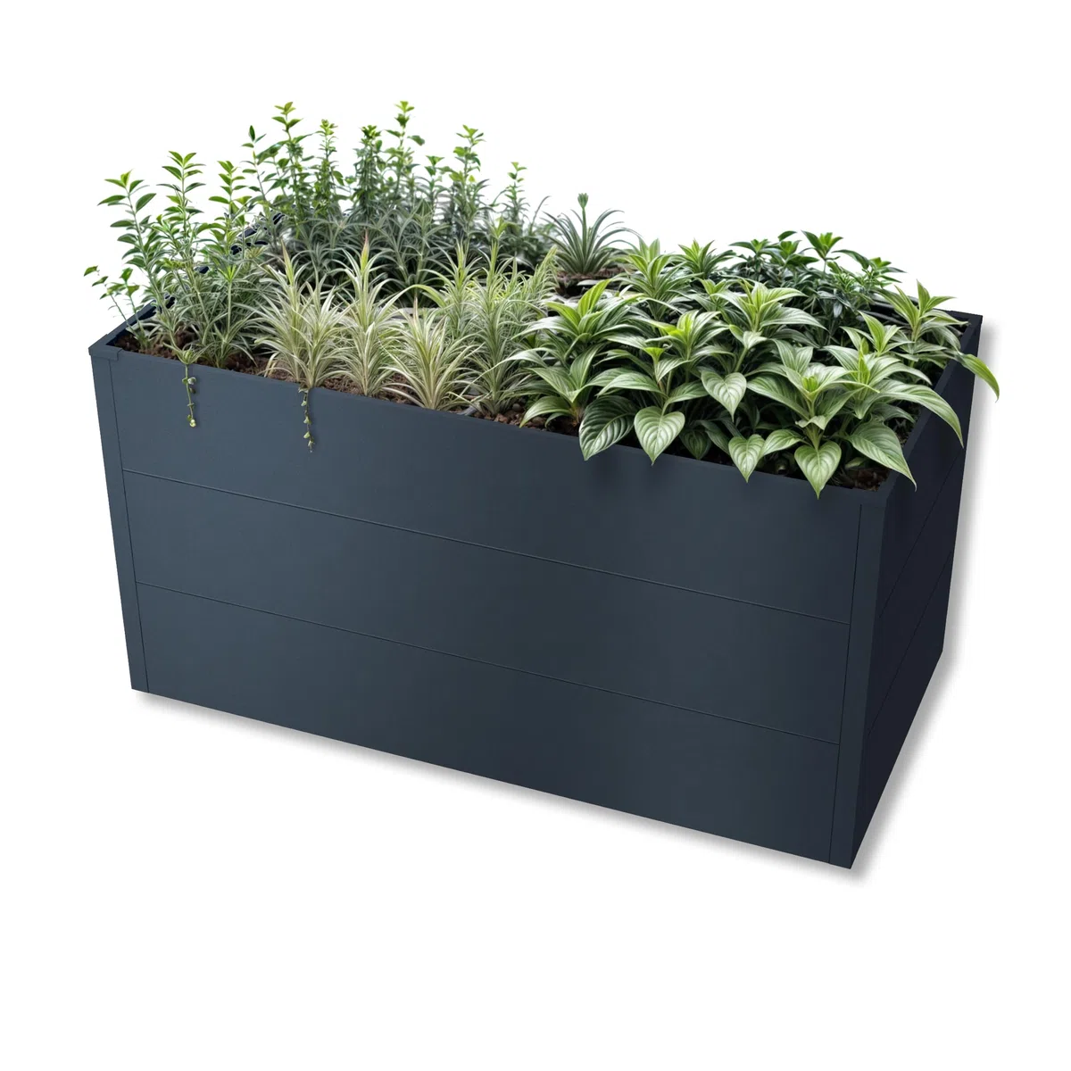 Metzler Hochbeet für den Garten – Stahl in Anthrazit | Witterungsbeständiges Metall-Gartenbeet, Pflanzenbeet, Blumenhochbeet | 150 x 75 x 77 cm