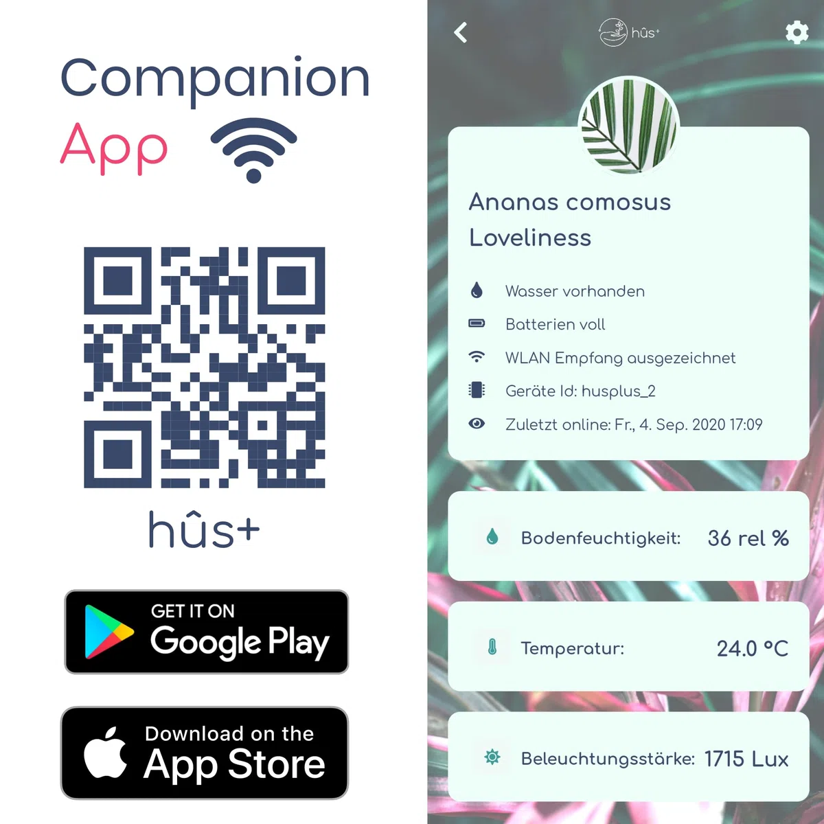 Flower smart 【 A Babysitter for Your Plants 】 Smart WiFi Pflanzensensor Gießanzeiger Feuchtigkeitsmesser für Pflanzen - Bodentester Wasserdicht WLAN Sensor digital (6, Botanical Black)