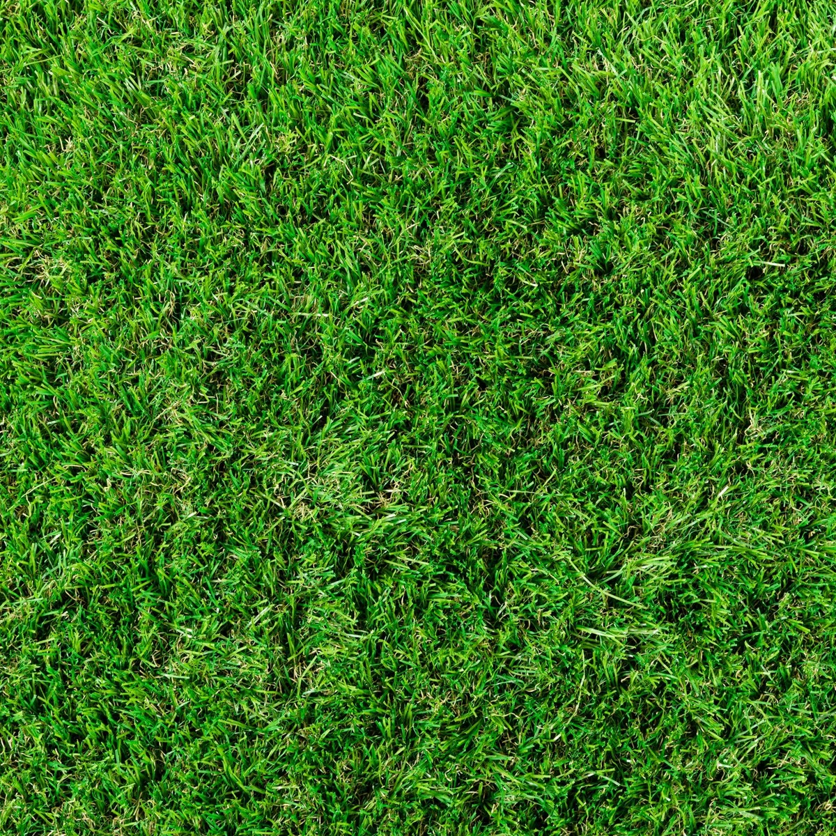 Steffensmeier Kunstrasen Dublin 37 mm 1.543 g/m² extrem UV-beständig Soft Kollektion | Grün, Größe: 300x200 cm