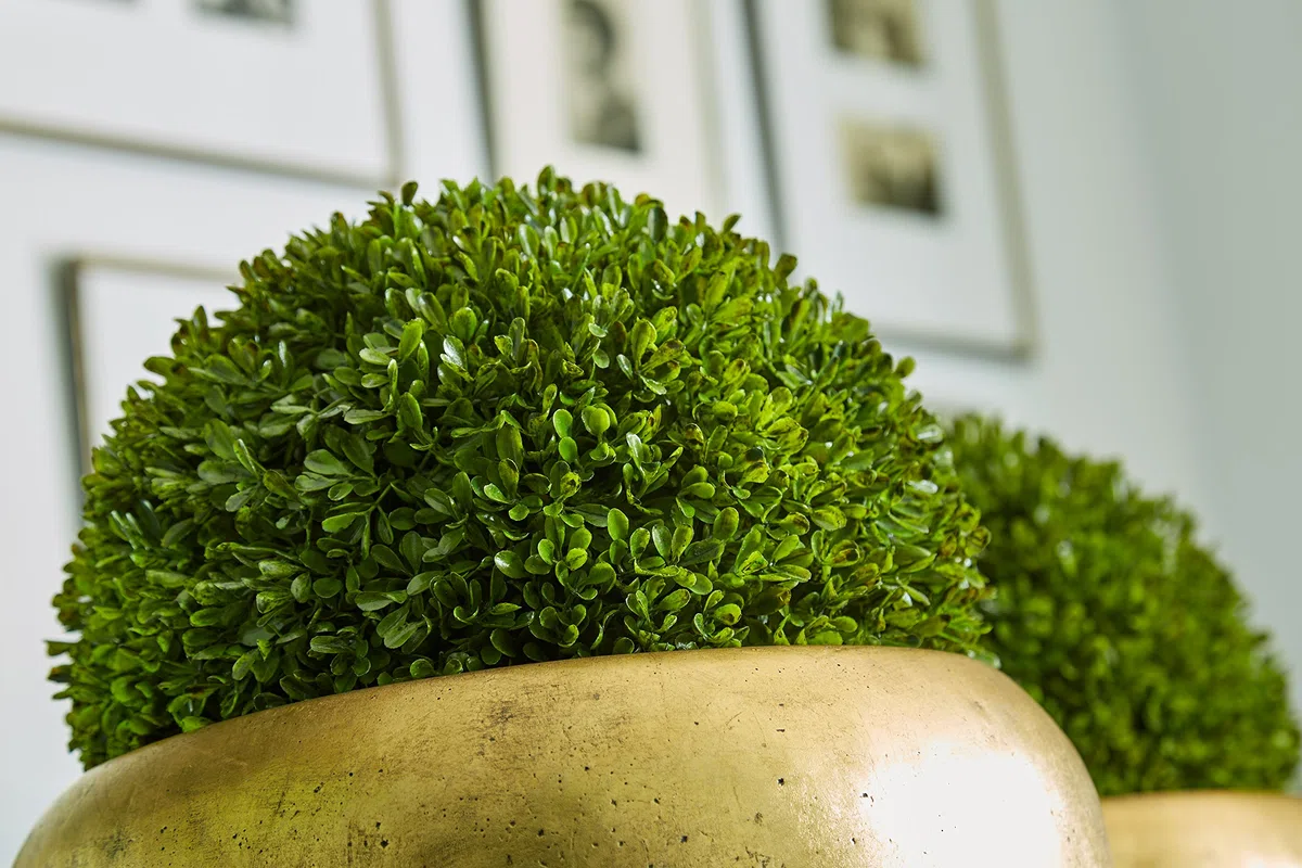 Klocke Pflanzgefäße Edle & Hochwertige Pflanzvase/Pflanzkübel - Fiberglas - Mit Einsatz – Indoor – Metallic/Metallisch Blumenkübel/Pflanzgefäß/Vase/Kübel (Klein: 75cm, Gold)