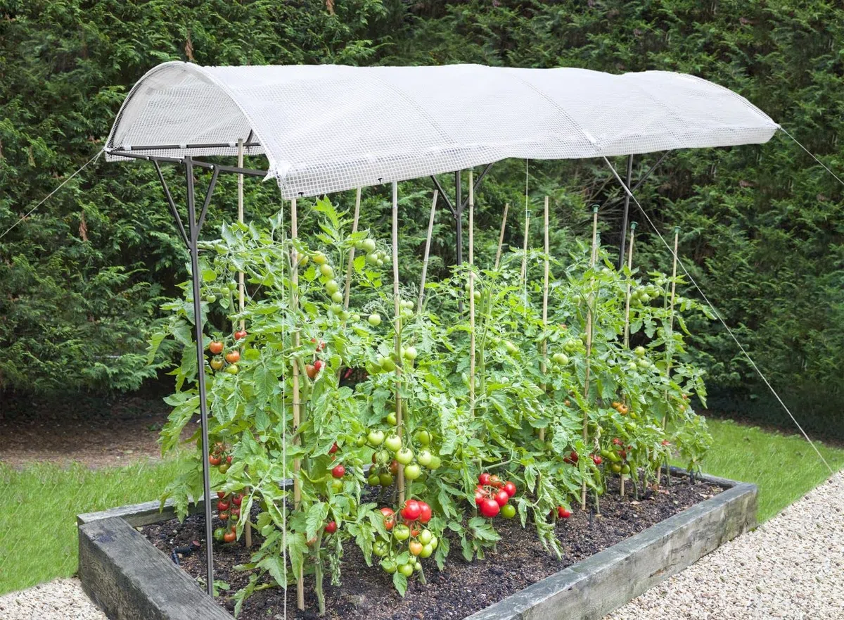 TrendLine Tomatenschutzdach ca. 200 x 112 x 80/180 cm Tomatenschutzdach Weiß