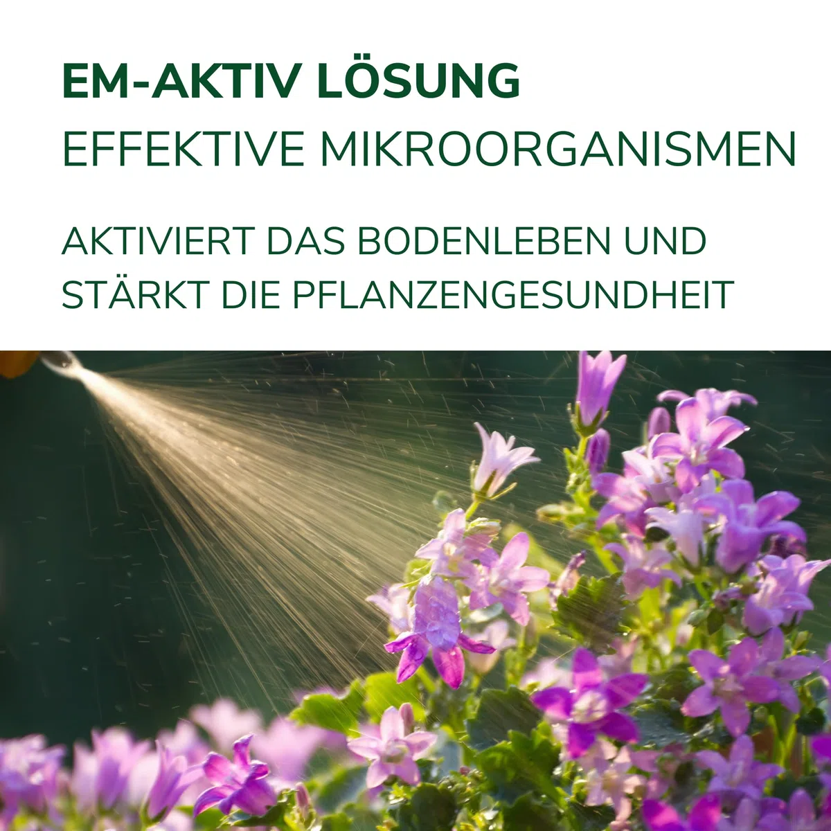 Natursache EM-aktiv Lösung 5L - Effektive Mikroorganismen Bodenaktivator Geruchsentferner Wasseraufbereiter