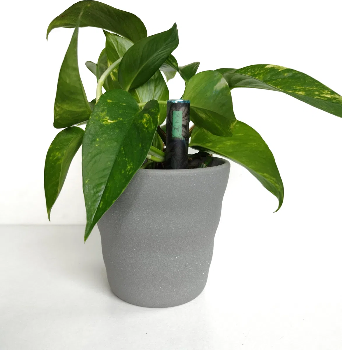 Flower smart 【 A Babysitter for Your Plants 】 Smart WiFi Pflanzensensor Gießanzeiger Feuchtigkeitsmesser für Pflanzen - Bodentester Wasserdicht WLAN Sensor digital (6, Botanical Black)